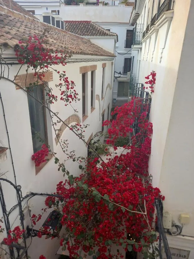 Appartement Precioso Y Acogedor Atico Old Town à Marbellac 0*,